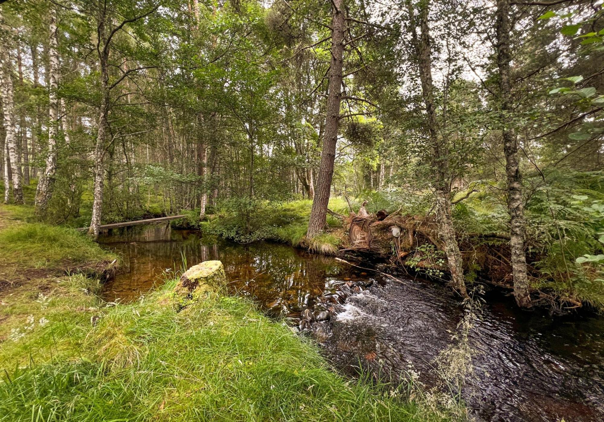 Cairngorm Lodge Rothiemurchus Aviemore Eksteriør bilde